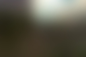 Фотография VR-квеста Остров от компании Cyber Arctic (Фото 1)