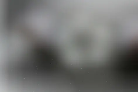 Квест «Преступный синдикат» от Брейкаут