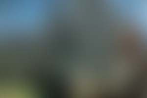 Фотография VR-квеста Elven Assassin от компании The Gate VR (Фото 1)